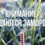ЭКСТРЕННОЕ ПРЕДУПРЕЖДЕНИЕ - Ремонтненский район