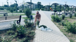 Субботник