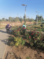 Экологический субботник